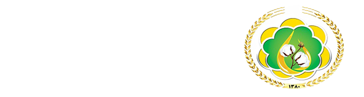 شهرداری انبارالوم