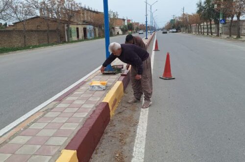 photo24423888744
